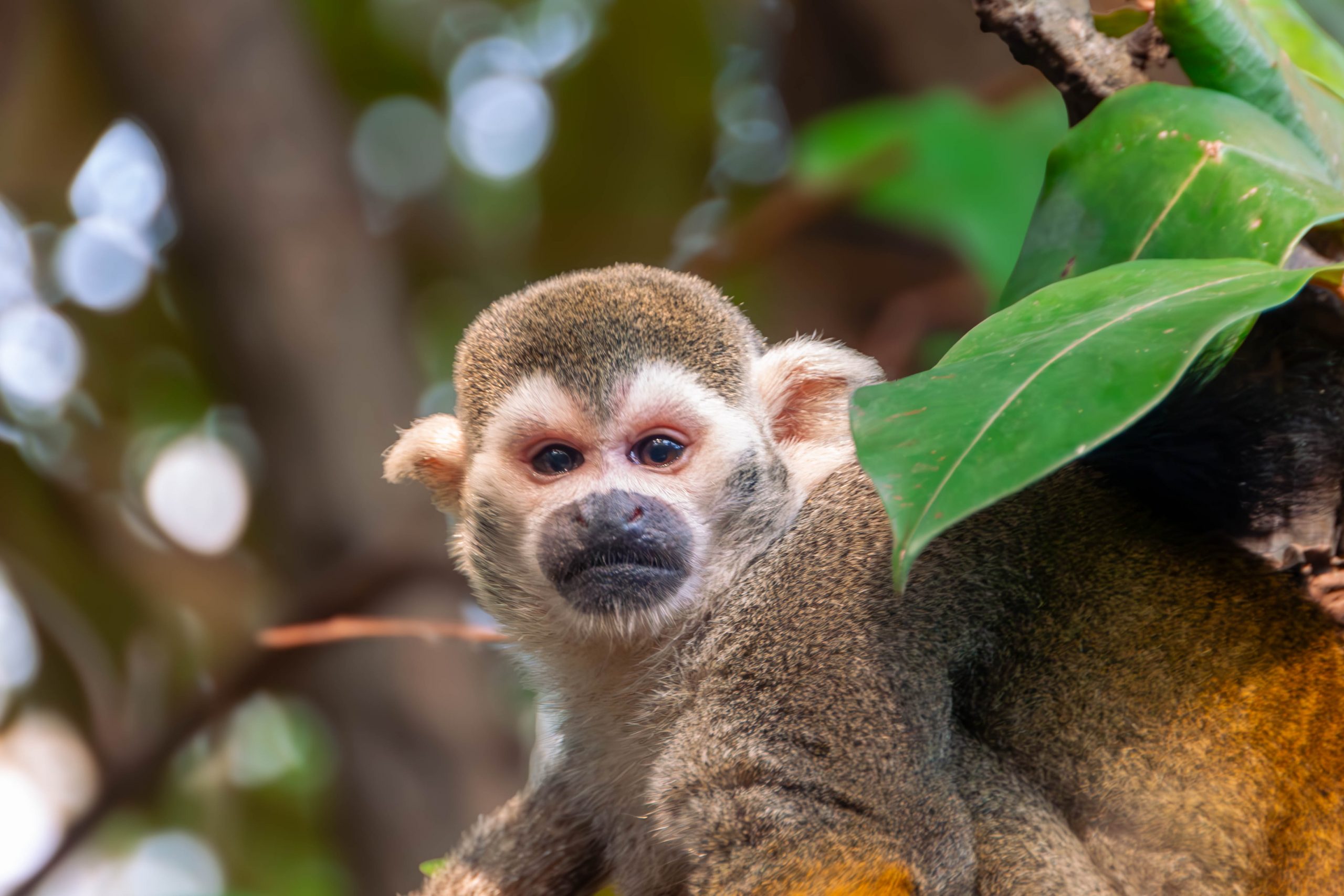 Zoo Leipzig Frühjahr 2024