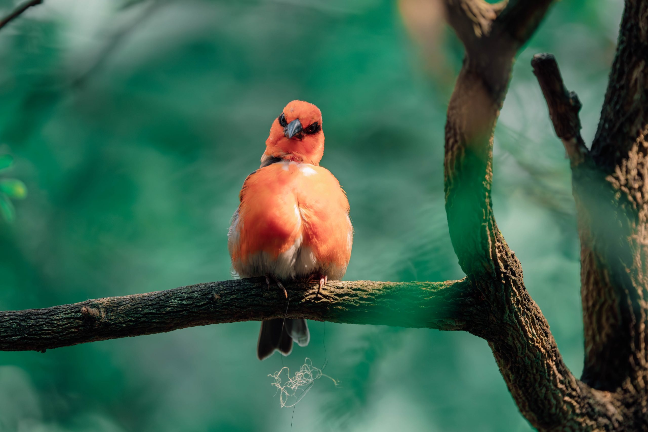 Tierfotografie im Leipziger Zoo